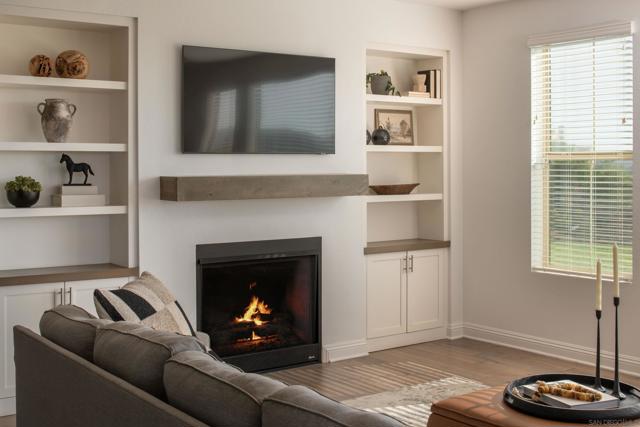 MLS #250040709SD image #19