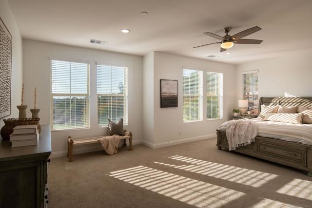 MLS #250040709SD image #27