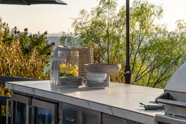 MLS #250040709SD image #46