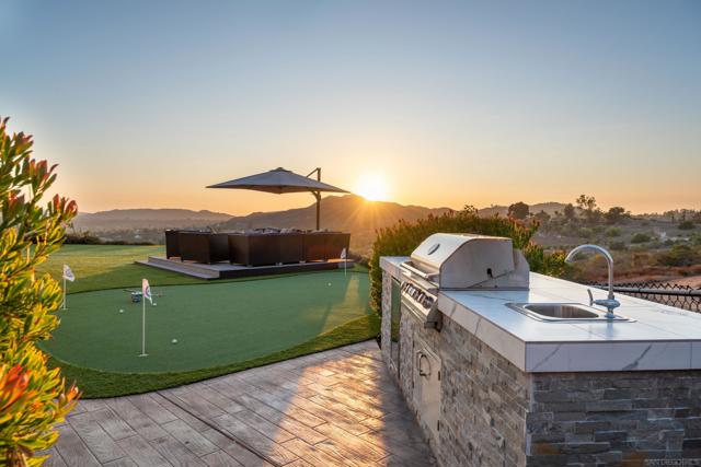 MLS #250040709SD image #66