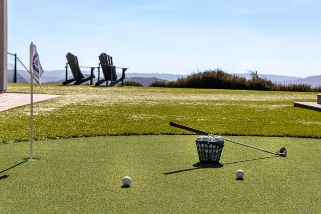 MLS #250040709SD image #67