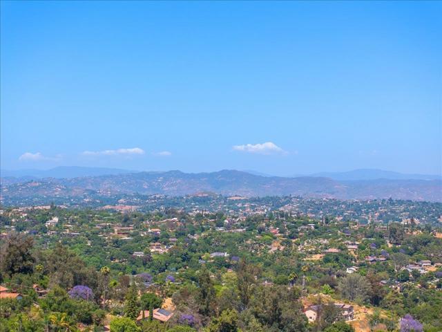 MLS #250040773SD image #38