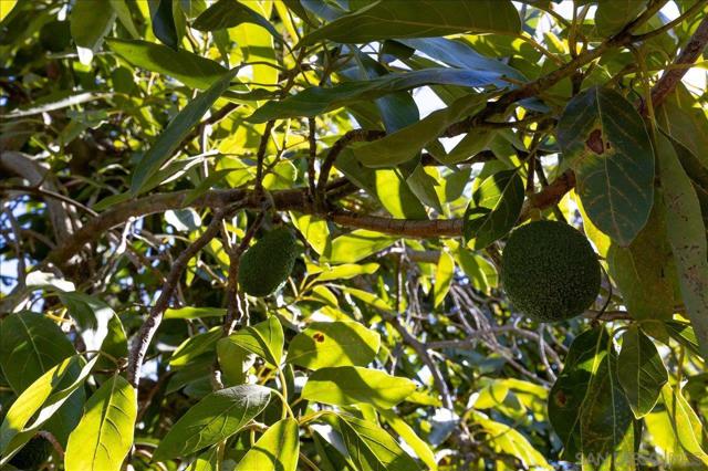 MLS #250040773SD image #42