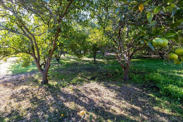 MLS #250040773SD image #43