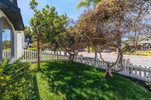 MLS #250040794SD image #55