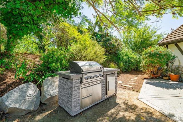 MLS #250040803SD image #51