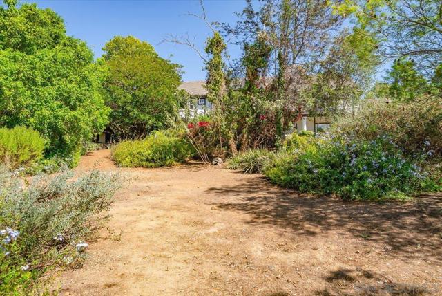 MLS #250040803SD image #67