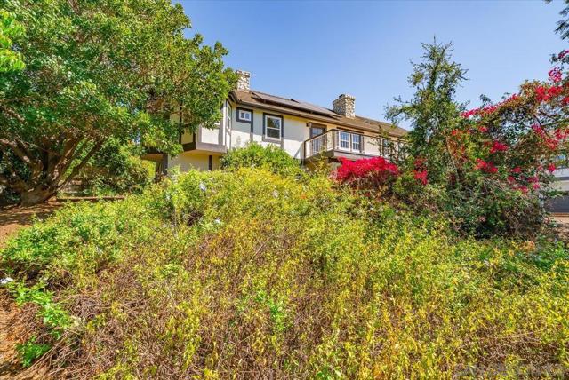 MLS #250040803SD image #68