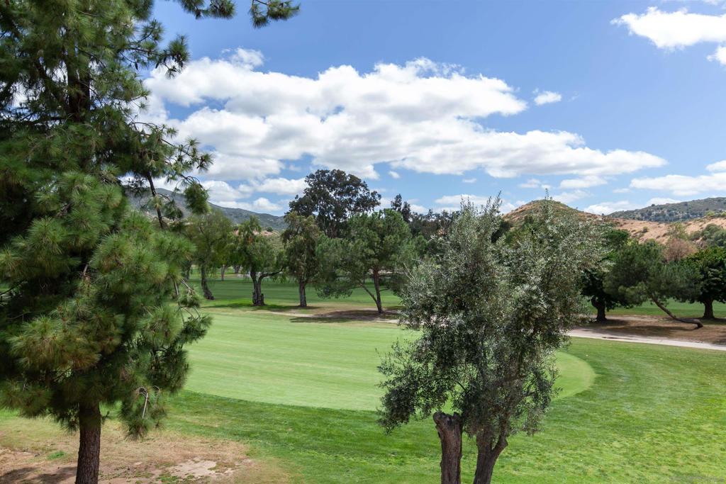 MLS #250040874SD image #33