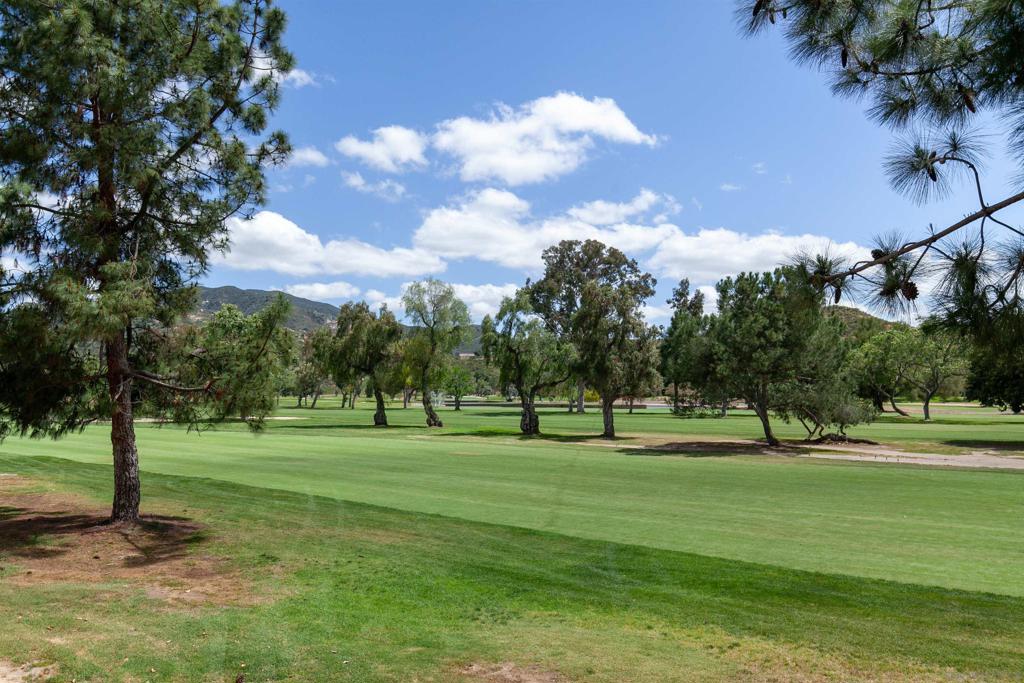 MLS #250040874SD image #38