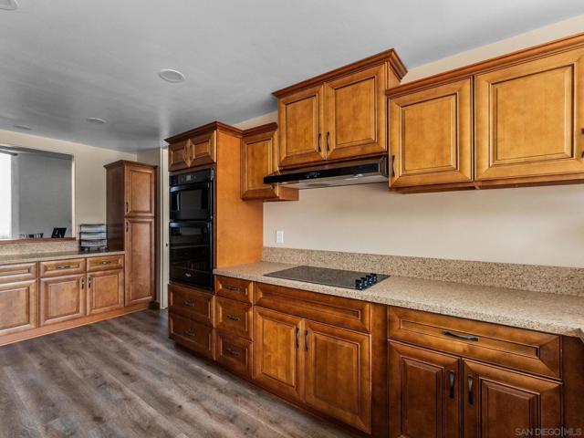 MLS #250040891SD image #38