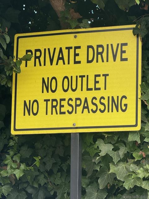 MLS #250041001SD image #5