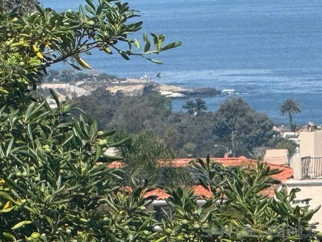 MLS #250041001SD image #8