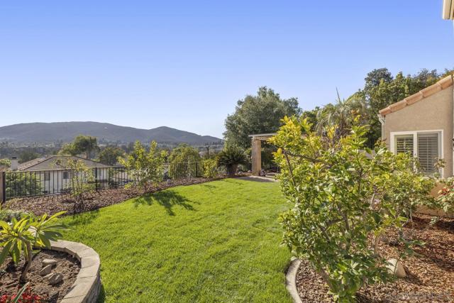 MLS #250041091SD image #37