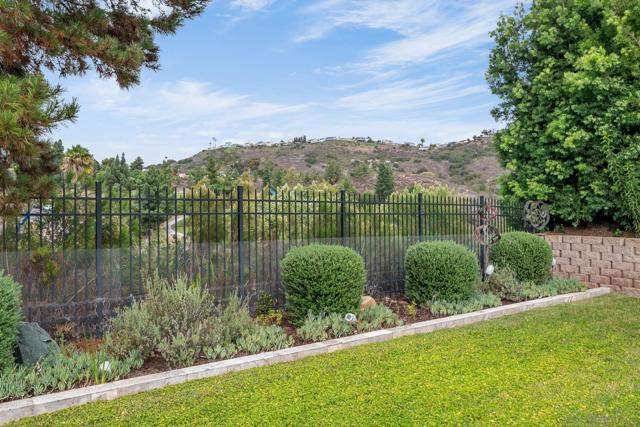 MLS #250041683SD image #39