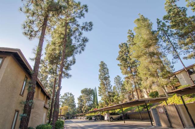 MLS #250041694SD image #36