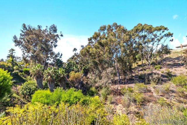 MLS #250041765SD image #24