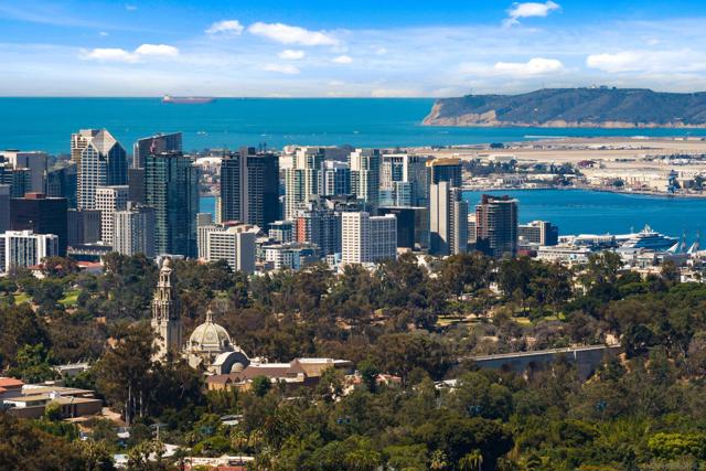 MLS #250041796SD image #64