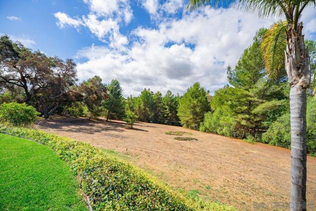 MLS #250042206SD image #48