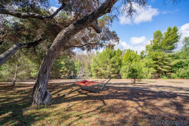 MLS #250042206SD image #51