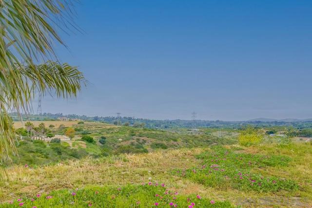 MLS #250042454SD image #55