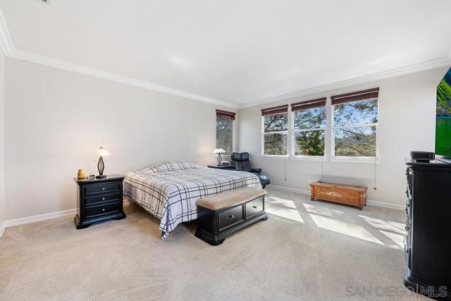 MLS #250042493SD image #17