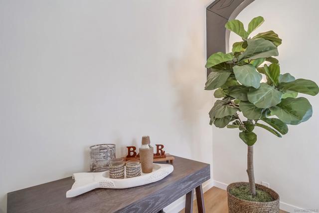 MLS #250042670SD image #9