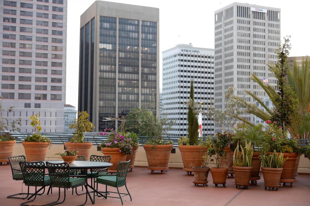 MLS #250042705SD image #13