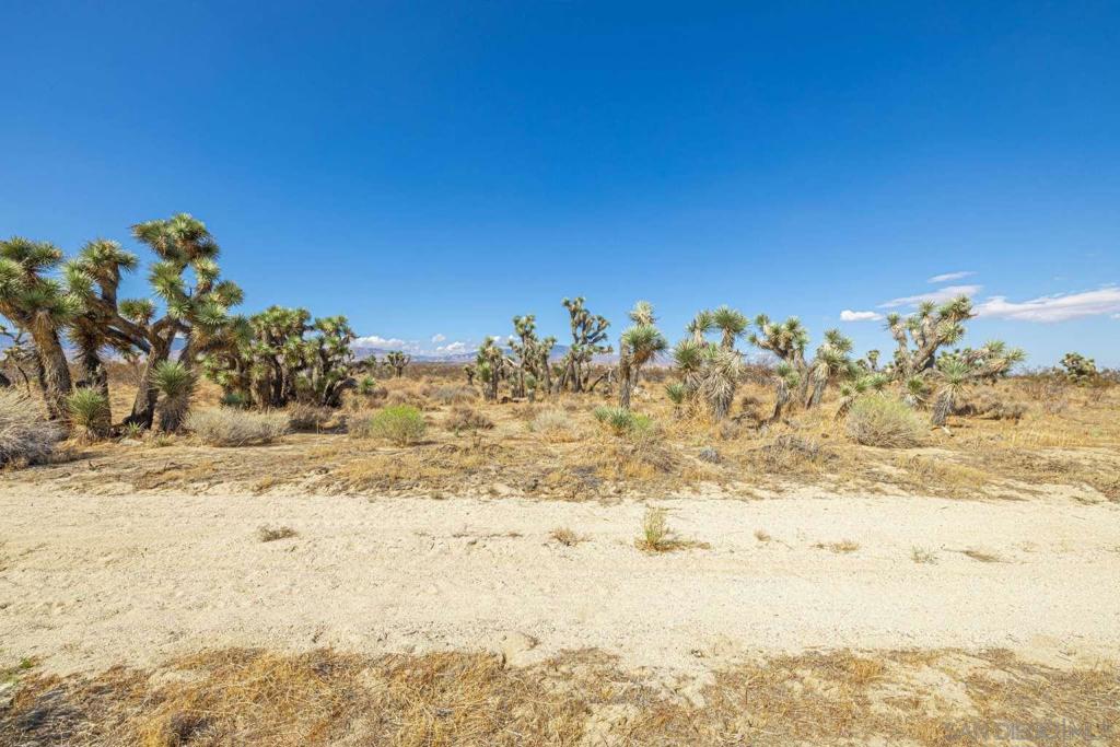 MLS #250041607SD image #15