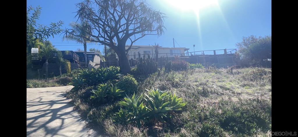 MLS #250042768SD image #14