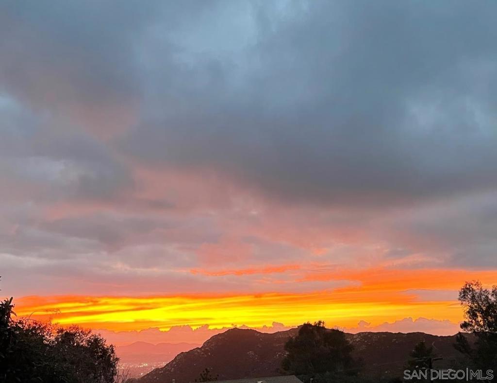 MLS #250042768SD image #4