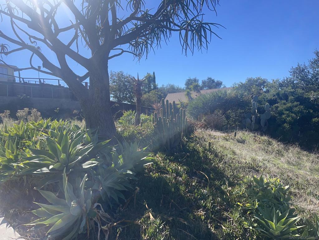 MLS #250042768SD image #6