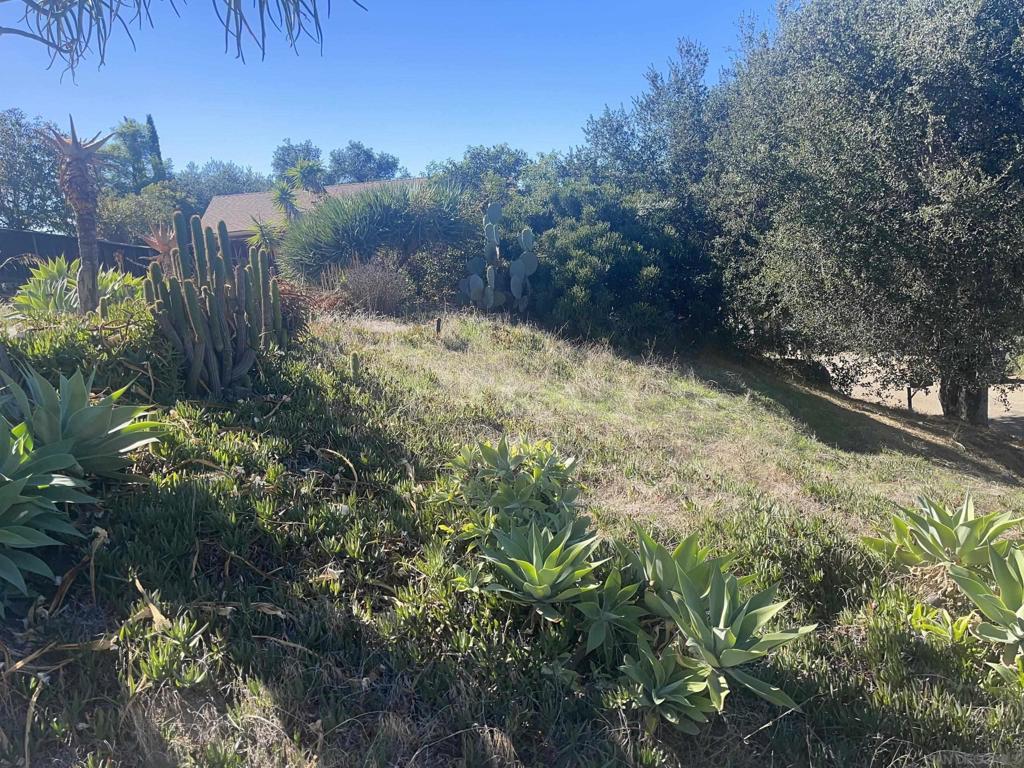 MLS #250042768SD image #7