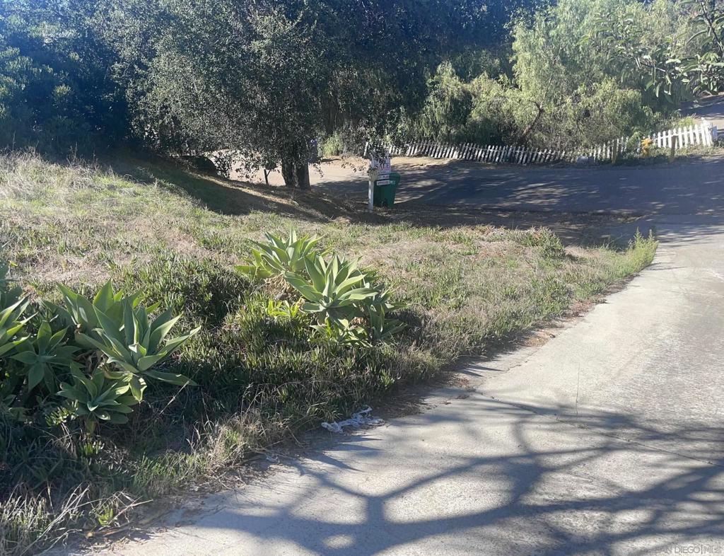 MLS #250042768SD image #8