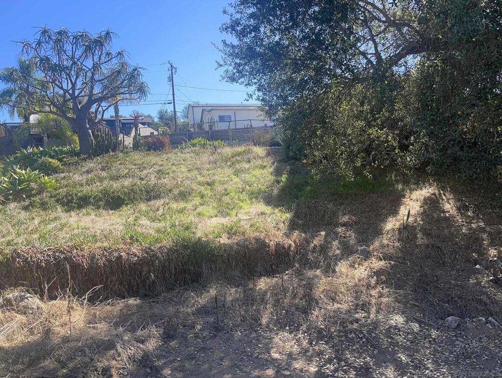 MLS #250042768SD image #9