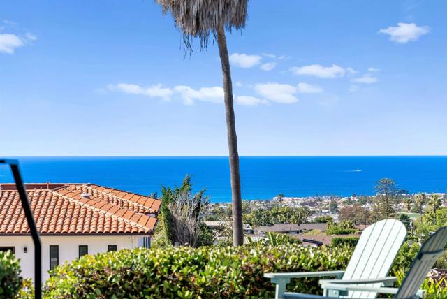 MLS #250043093SD image #1