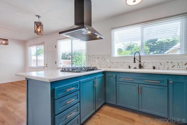 MLS #250043100SD image #29