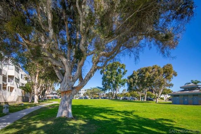 MLS #250043250SD image #44