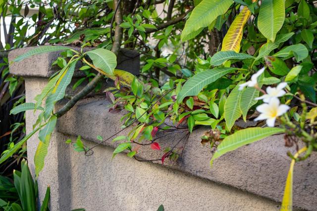 MLS #250043551SD image #31