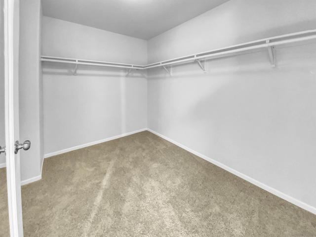 MLS #250043640SD image #23