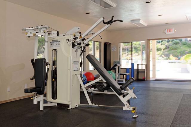 MLS #250043708SD image #33