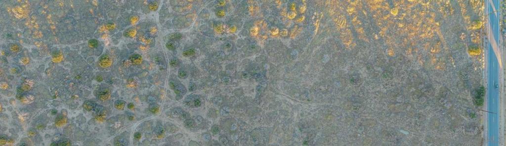 MLS #250043808SD image #14