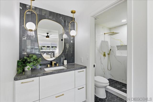 MLS #250044025SD image #12