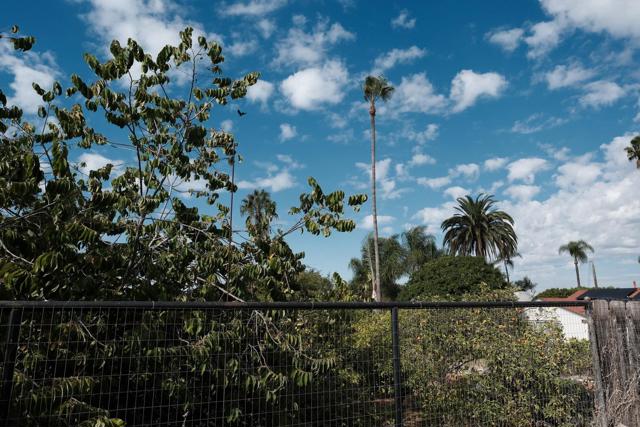 MLS #250044096SD image #30