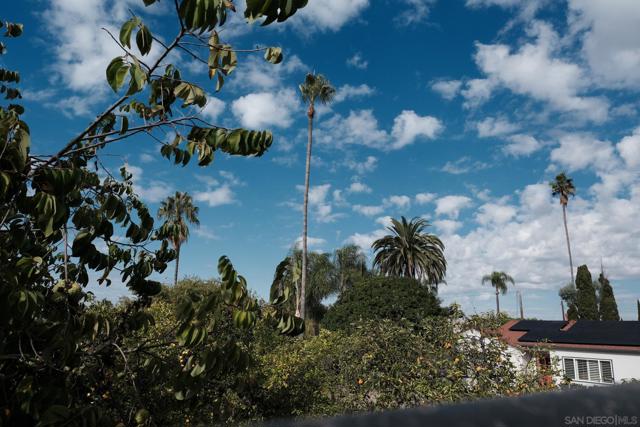 MLS #250044096SD image #31