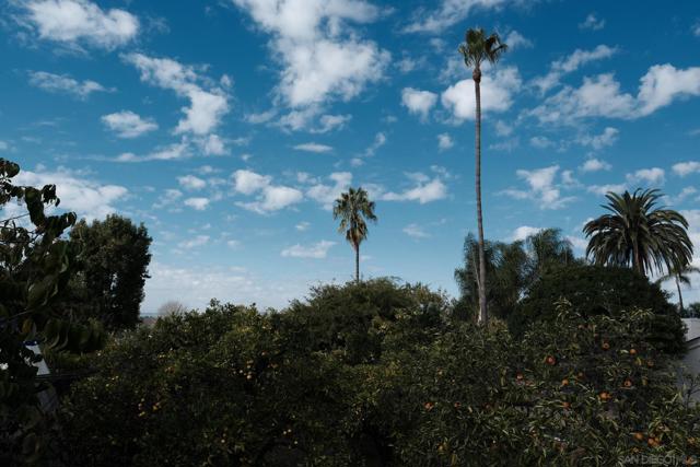 MLS #250044096SD image #32