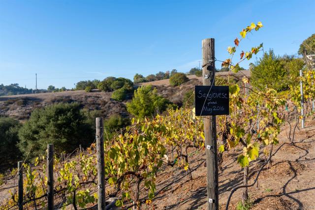 MLS #250044151SD image #55