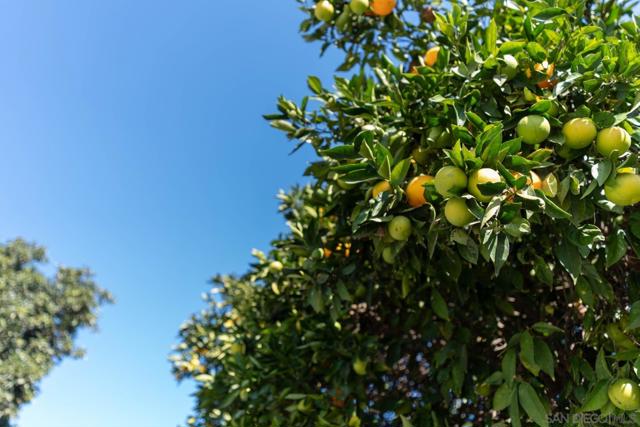 MLS #250044151SD image #56