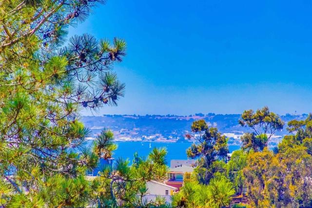 MLS #250044152SD image #12