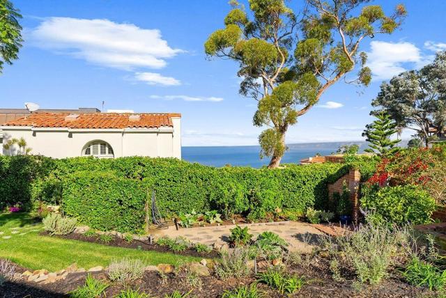 MLS #250044159SD image #43